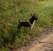 Enlarge photo 15