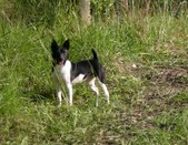 Enlarge photo 16