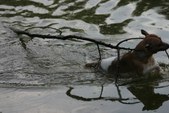 Enlarge photo 38