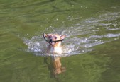 Enlarge photo 37