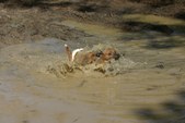 Enlarge photo 36