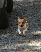 Enlarge photo 25