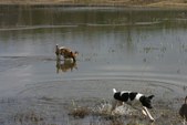 Enlarge photo 27