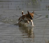 Enlarge photo 28