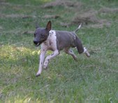 Enlarge photo 11