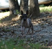 Enlarge photo 15