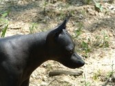 Enlarge photo 10