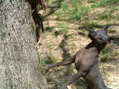 Enlarge photo 13