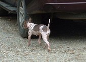 Enlarge photo 39