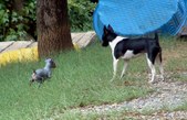 Enlarge photo 33
