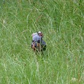 Enlarge photo 35