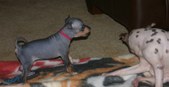 Enlarge photo 12