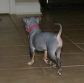 Enlarge photo 15