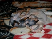 Enlarge photo 3
