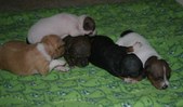 Enlarge photo 21