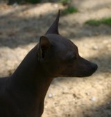 Enlarge photo 19