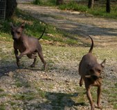 Enlarge photo 23