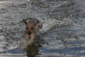 Enlarge photo 34
