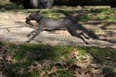 Enlarge photo 15