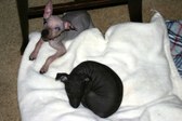 Enlarge photo 8