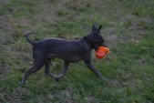Enlarge photo 22