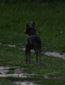 Enlarge photo 24