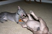 Enlarge photo 14