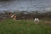 Enlarge photo 31