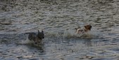 Enlarge photo 32