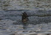 Enlarge photo 33