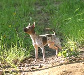 Enlarge photo 15