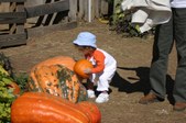 Enlarge photo 28