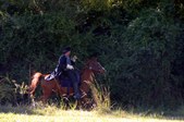 Enlarge photo 40