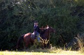 Enlarge photo 41