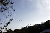 Enlarge photo 63