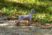 Enlarge photo 73