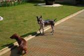Enlarge photo 58
