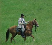 Enlarge photo 37
