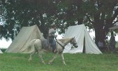 Enlarge photo 56