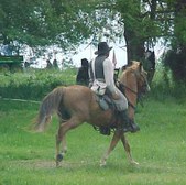 Enlarge photo 40