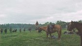 Enlarge photo 43