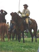 Enlarge photo 116