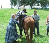 Enlarge photo 46