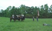 Enlarge photo 110
