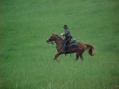Enlarge photo 137