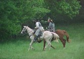 Enlarge photo 114