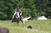 Enlarge photo 52