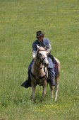 Enlarge photo 58