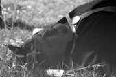 Enlarge photo 50