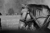 Enlarge photo 59
